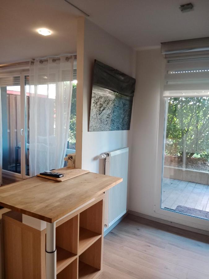 Tres Bel Appartement Rez De Jardin Appart De 53M2. Pfastatt ภายนอก รูปภาพ